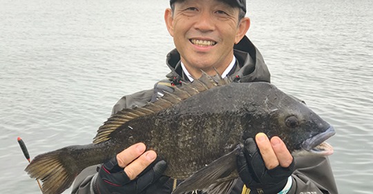 37425860_2114627758785020_5357626339144761344_n