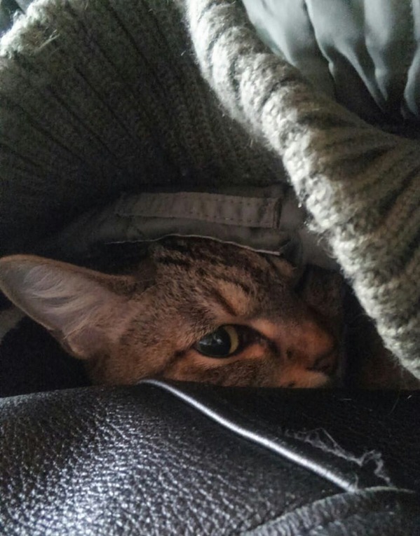 201a2878b5f5ad38d8ca81a8d0e12a87_600 (2)