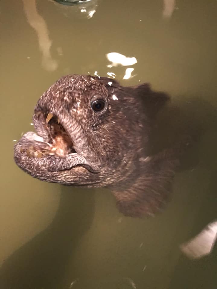 0efb706b7df525e218db2c884584957e