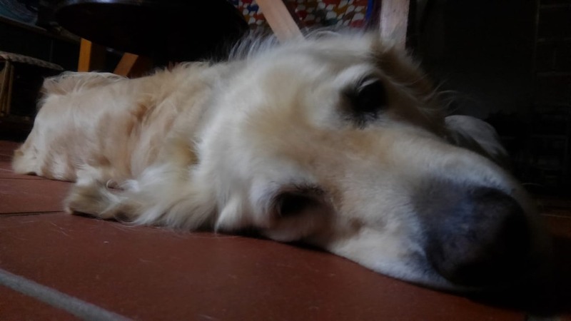 37425860_2114627758785020_5357626339144761344_n