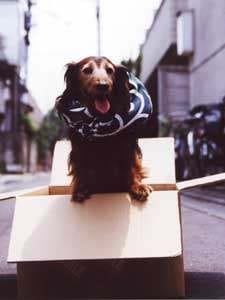 37393438_2114627668785029_3805658057266954240_n (2)