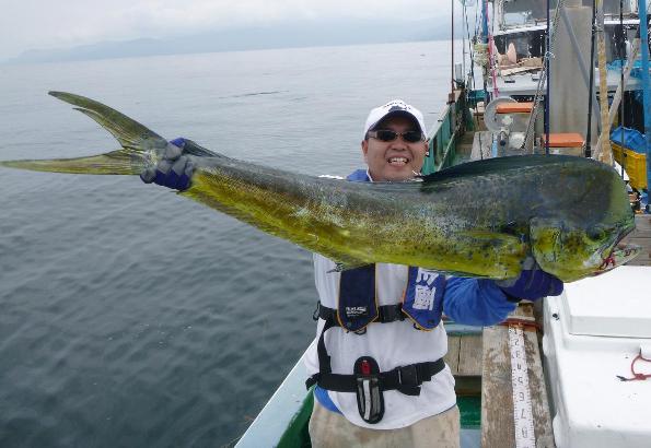 菅原正志の 世田谷漁報