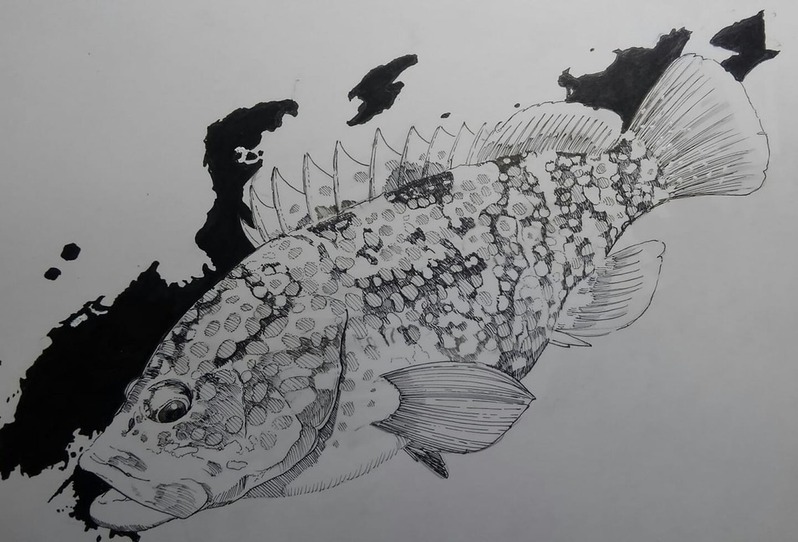 37393438_2114627668785029_3805658057266954240_n (2)