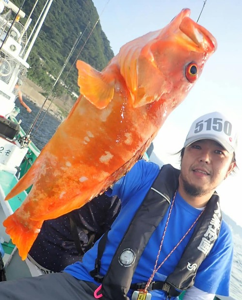 21801_1578001052447696_2593484313655016866_n