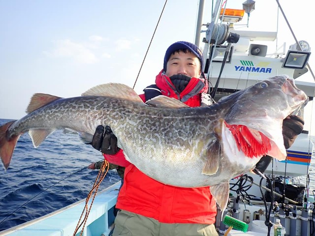 1617979_1670981019816365_3979836592104173911_o