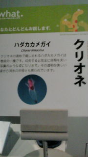 20120216134917