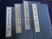 CIMG6316