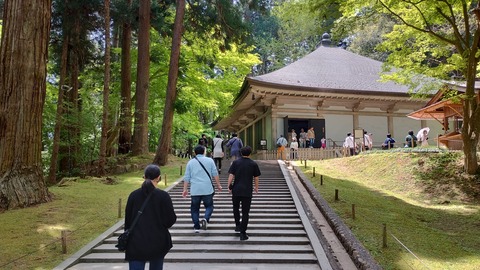 IMG_20240429_112654017_HDR