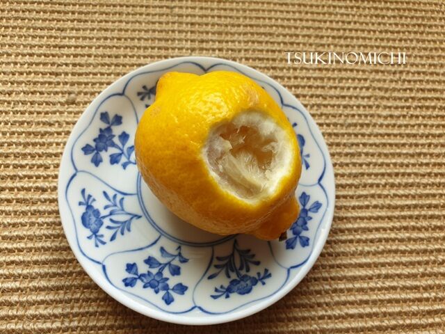 人 アフリカに幼き母や檸檬噛む 檸檬齧る地球は青くなりすぎた 俳句ポスト365 檸檬 月の道の大切な日々 人 アフリカに幼き母や檸檬噛む 檸檬齧る地球は青くなりすぎた 俳句ポスト365 檸檬 月の道の大切な日々