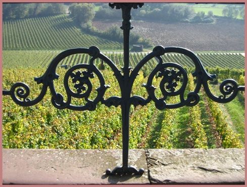 人 ホイッスルの音の尾っぽや菊日和 回文 俳句ポスト365 菊日和 月の道の大切な日々