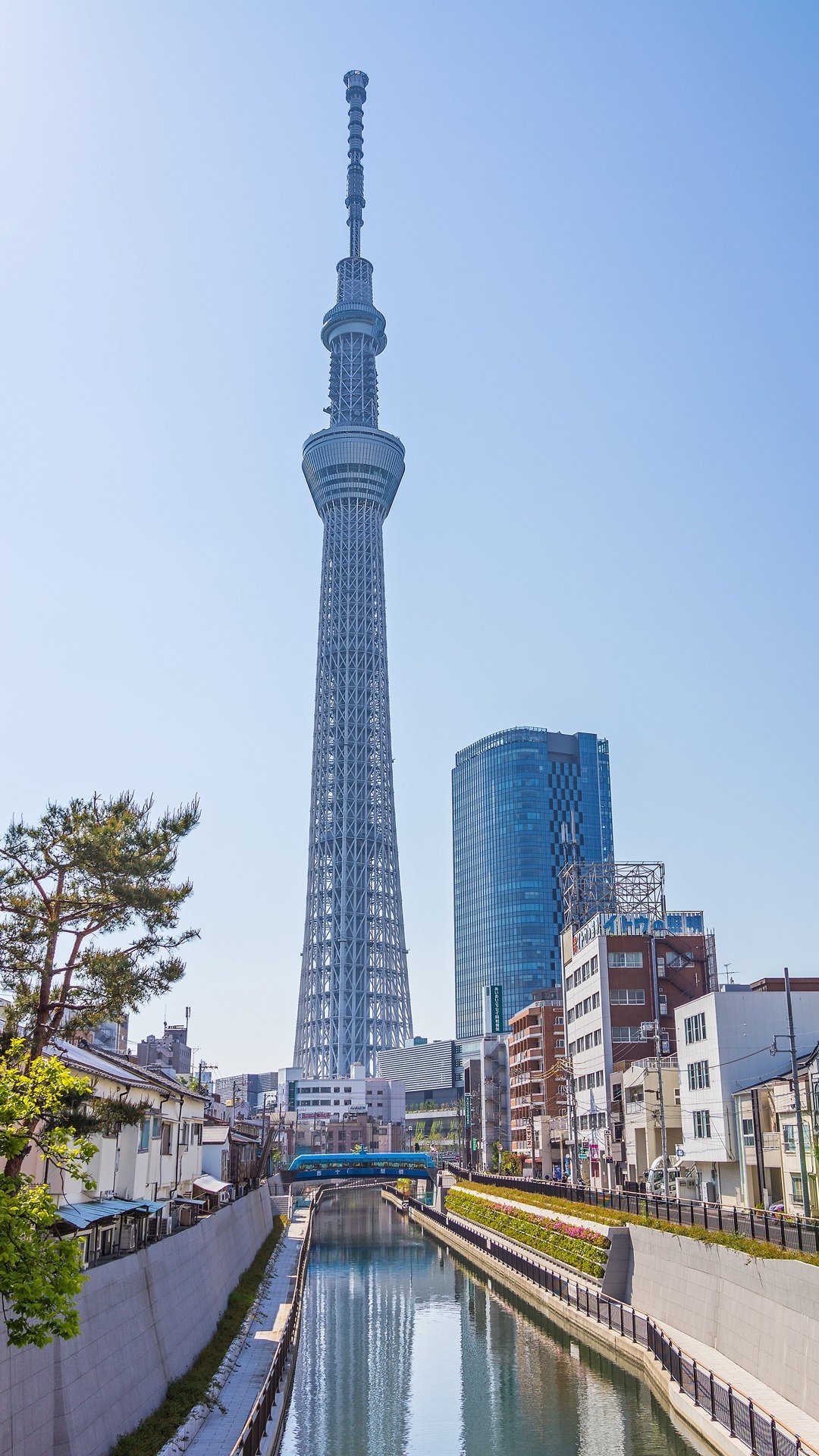 コンプリート スカイ ツリー 壁紙 ただ素晴らしい花