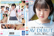 midv00148pl