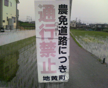 農免道路 農免農道