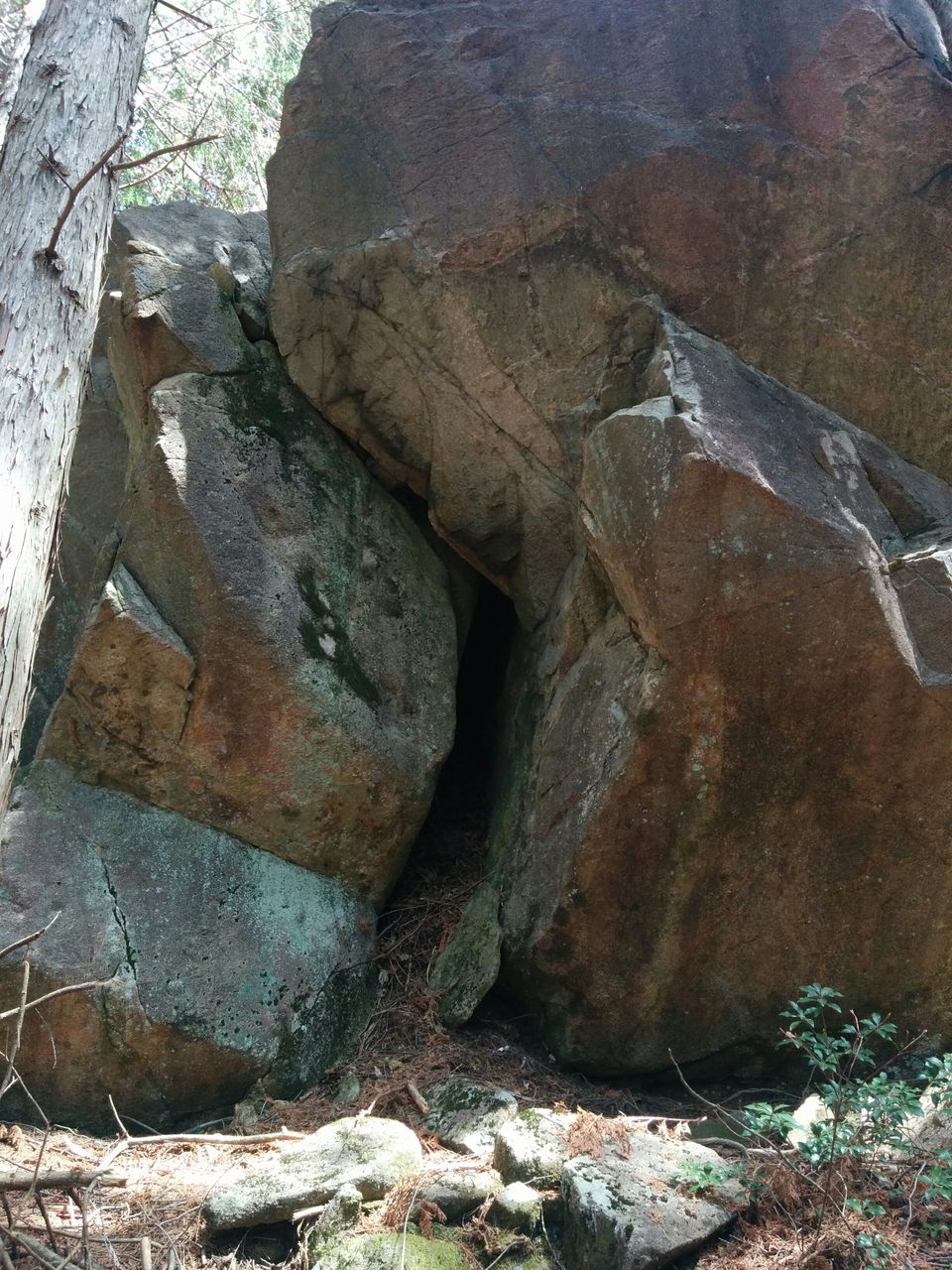 恵那笠置 スキマ産業 ぼちぼちクライミングの日記