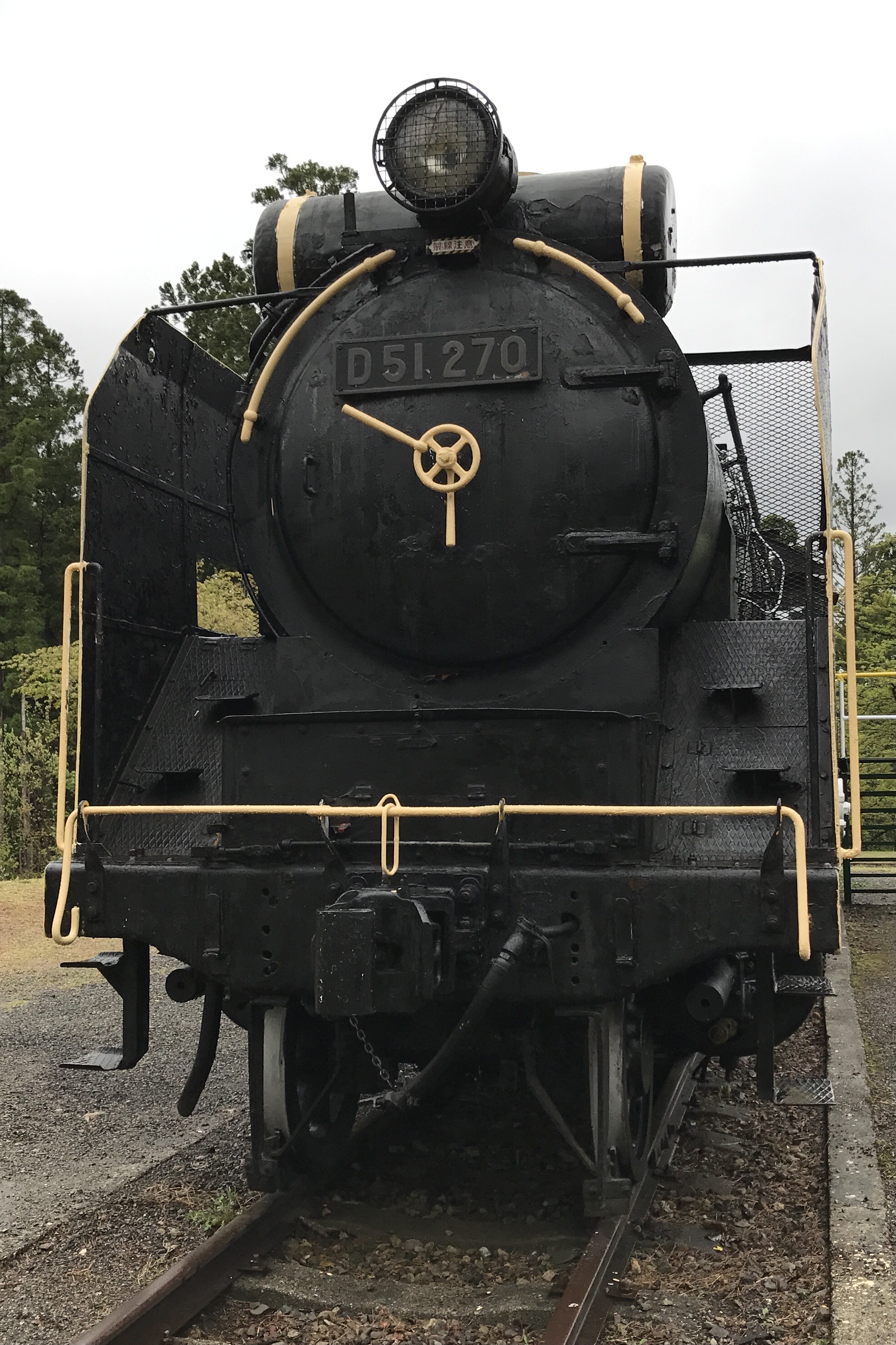 保存蒸機めぐり] 横手公園 D51 270 : 新•たいすんの鉄道
