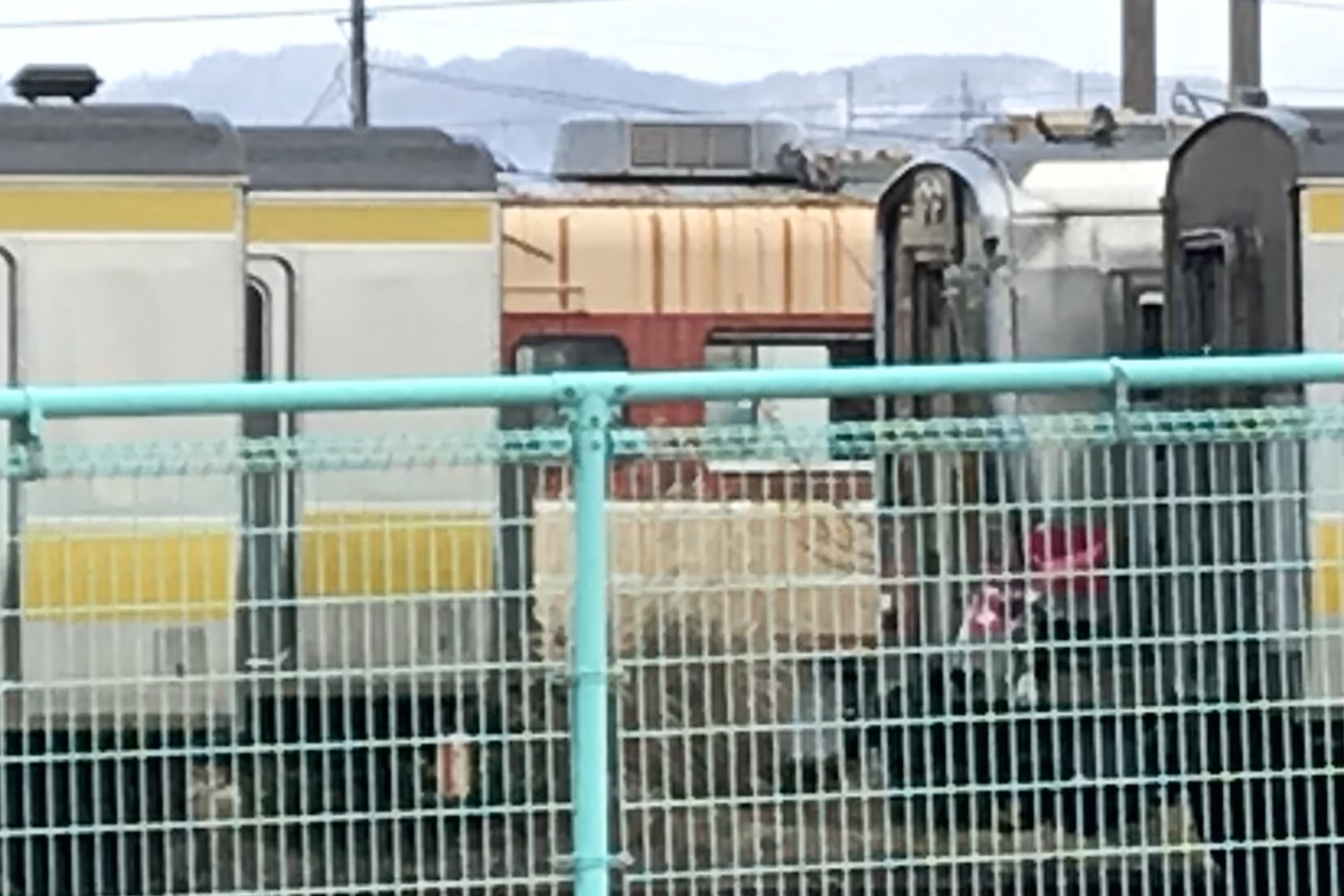 ついに : 新•たいすんの鉄道&プラレールブログ