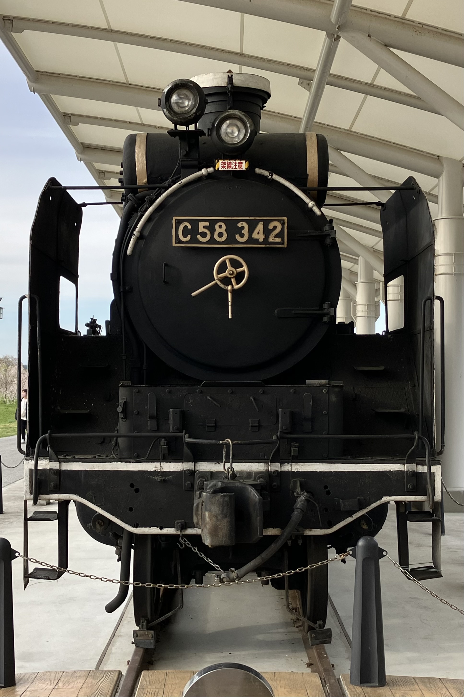 蒸気機関車 、 黒色 再生産】(N) 国鉄 B20 10号機 蒸気機関車 (鹿児島機関区仕様)III