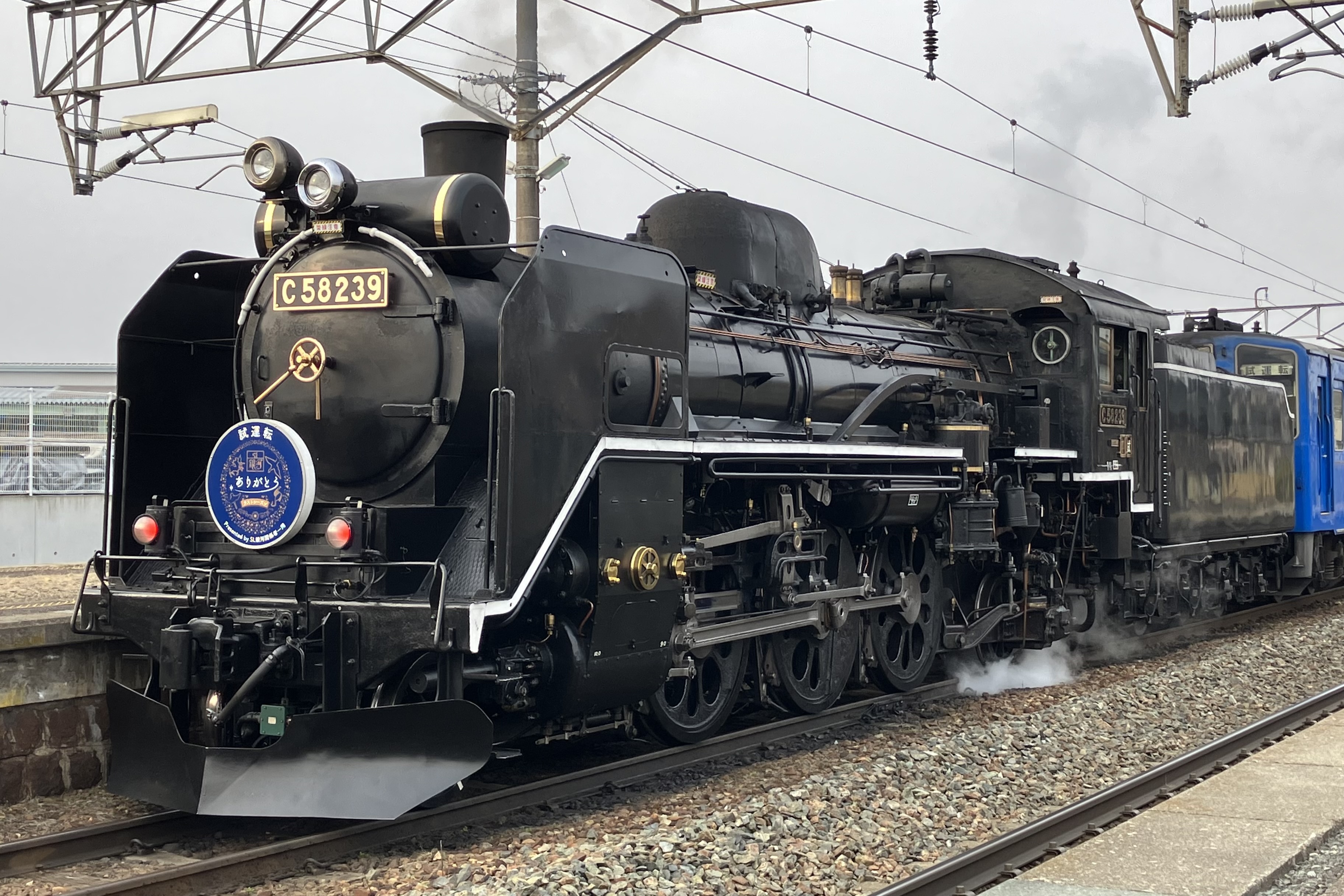 【中古本】関数事典 中古本】関数事典 中古本】関数事典 中古本】関数事典 中古本】関数