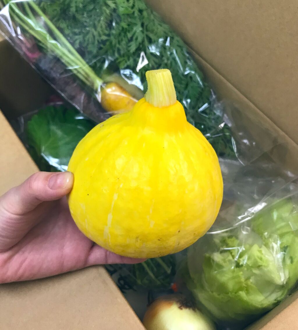 面白野菜や 宇和島のじゃこ天etc Mama No Kitchen 面白野菜や 宇和島のじゃこ天etc Mama No Kitchen