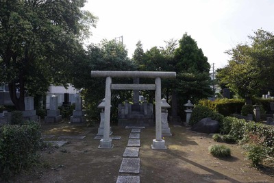ba13ef25.jpg