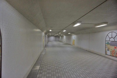 c2d0ad51.jpg