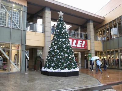 e4456d00.jpg