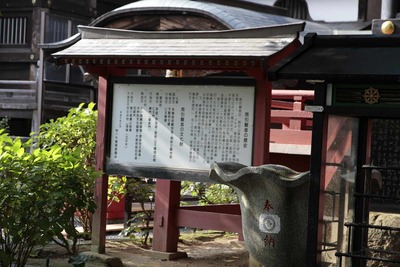 0670e568.jpg