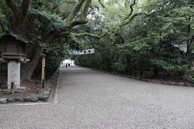 s-_MG_3336
