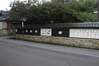 s-_MG_9491
