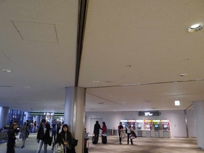 3299cea6.jpg