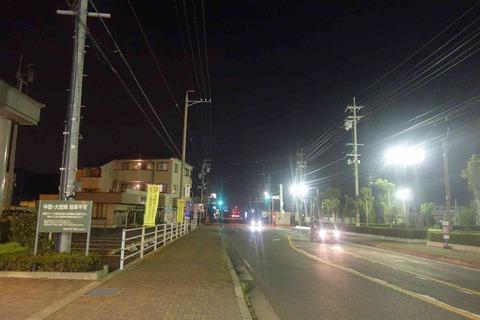 s-_DSC0787