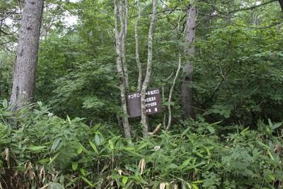 s-_MG_0940