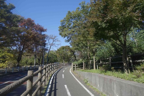 s-_DSC7583