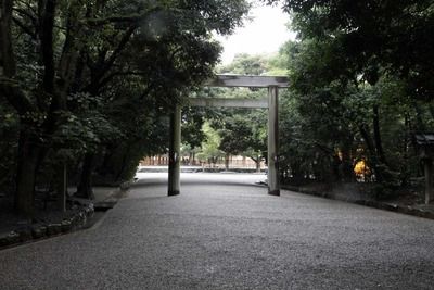 s-_MG_3309