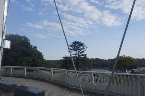 s-_DSC6250