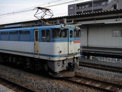 494db8dd.jpg