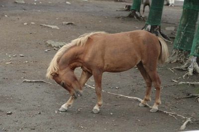 5454ea90.jpg