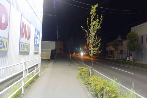 s-_DSC0822