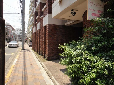 2b378511.jpg