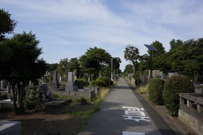 449c676d.jpg