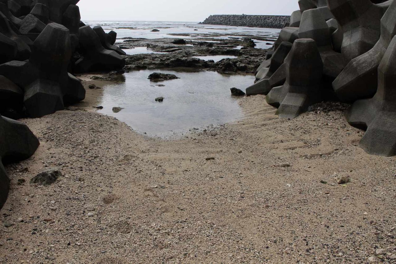 鹿児島県大島郡知名町 知名町市街地付近の様子 日本散策ガイド 鹿児島県大島郡知名町 知名町市街地付近の様子 日本散策ガイド