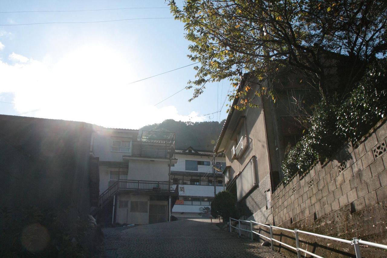 長野県下伊那郡天龍村 村天然記念物観音様の大かや : 日本散策ガイド