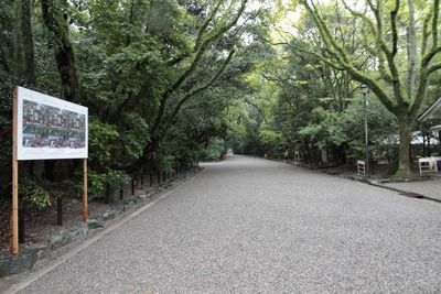 s-_MG_3325