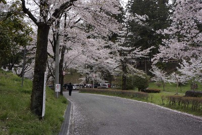 f9909175.jpg