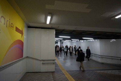 45357646.jpg