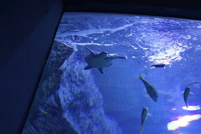 c34825b0.jpg