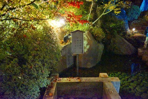 s-_DSC1028