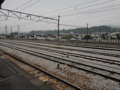 e1139d07.jpg