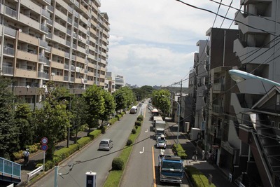 40582380.jpg