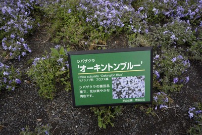 02210c6c.jpg